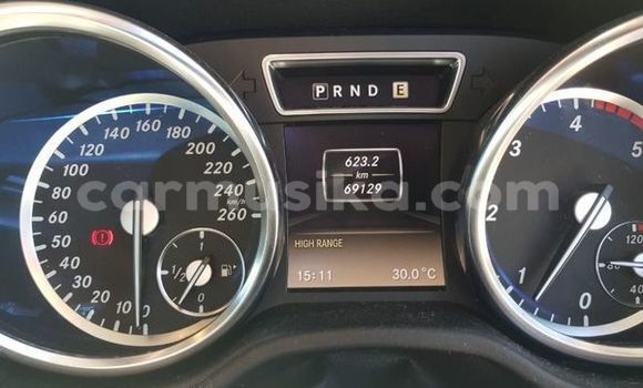 Tenga Tsaru Mercedes‒Benz G-klasse AMG Sirivha Mota in Bulawayo in Bulawayo Tenga Tsaru Mercedes‒Benz G-klasse AMG Sirivha Mota in Bulawayo in Bulawayo