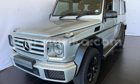 Acheter Occasion Voiture Mercedes‒Benz G-klasse AMG Gris à Bulawayo, Bulawayo Acheter Occasion Voiture Mercedes‒Benz G-klasse AMG Gris à Bulawayo, Bulawayo