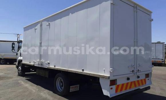 Nunua Ilio tumika Isuzu Elf Nyeupe Lori ndani ya Beitbridge nchini Matabeleland Kusini Nunua Ilio tumika Isuzu Elf Nyeupe Lori ndani ya Beitbridge nchini Matabeleland Kusini