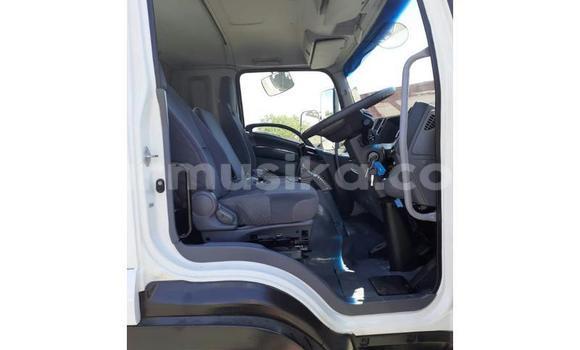 Nunua Ilio tumika Isuzu Elf Nyeupe Lori ndani ya Beitbridge nchini Matabeleland Kusini Nunua Ilio tumika Isuzu Elf Nyeupe Lori ndani ya Beitbridge nchini Matabeleland Kusini