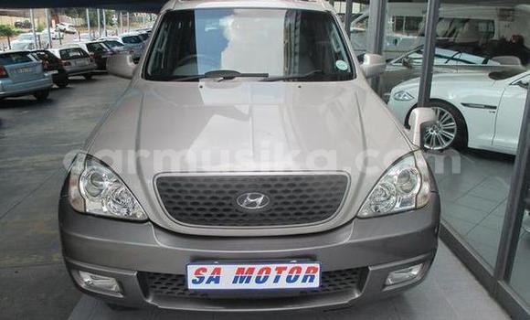 Tenga Tsaru Hyundai Terracan Sirivha Mota in Greendale in Harare Tenga Tsaru Hyundai Terracan Sirivha Mota in Greendale in Harare