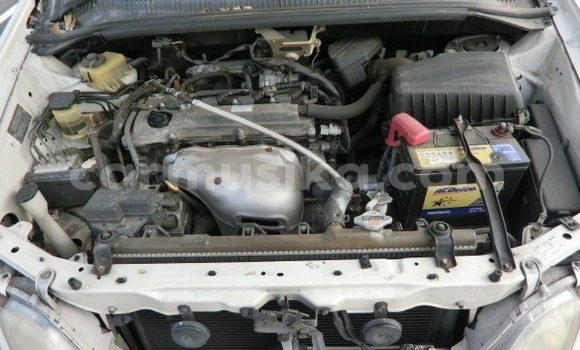 Buy Used Toyota Gaia White Car in Beitbridge in Matabeleland South Buy Used Toyota Gaia White Car in Beitbridge in Matabeleland South