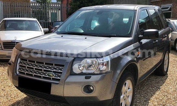 Nunua Ilio tumika Land Rover Freelander Fedha Gari ndani ya Beitbridge nchini Matabeleland Kusini Nunua Ilio tumika Land Rover Freelander Fedha Gari ndani ya Beitbridge nchini Matabeleland Kusini