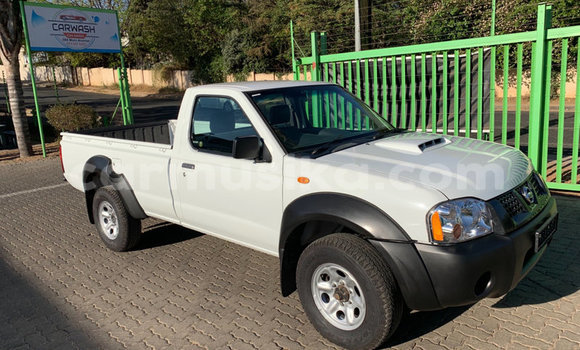 Tenga Tsaru Nissan NP 300 Chena Mota in Beitbridge in Matabeleland South Tenga Tsaru Nissan NP 300 Chena Mota in Beitbridge in Matabeleland South