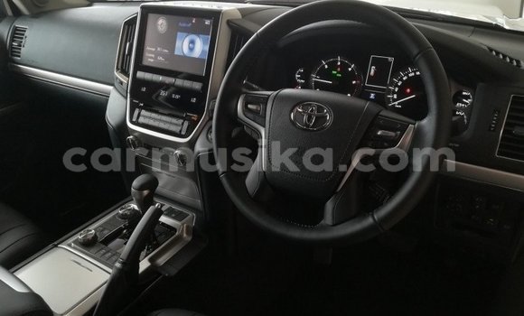 Tenga Tsaru Toyota Land Cruiser Chena Mota in Beitbridge in Matabeleland South Tenga Tsaru Toyota Land Cruiser Chena Mota in Beitbridge in Matabeleland South