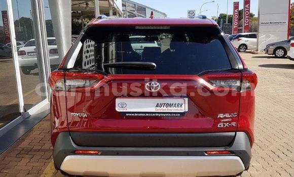 Acheter Occasion Voiture Toyota RAV4 Rouge à Avondale, Harare Acheter Occasion Voiture Toyota RAV4 Rouge à Avondale, Harare
