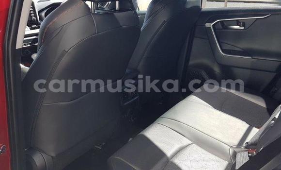 Acheter Occasion Voiture Toyota RAV4 Rouge à Avondale, Harare Acheter Occasion Voiture Toyota RAV4 Rouge à Avondale, Harare