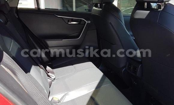 Acheter Occasion Voiture Toyota RAV4 Rouge à Avondale, Harare Acheter Occasion Voiture Toyota RAV4 Rouge à Avondale, Harare