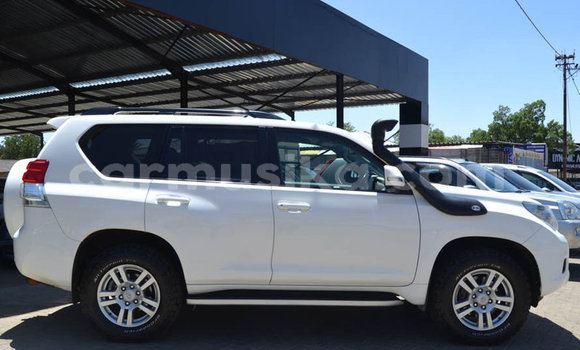 Tenga Tsaru Toyota Prado Chena Mota in Beitbridge in Matabeleland South Tenga Tsaru Toyota Prado Chena Mota in Beitbridge in Matabeleland South