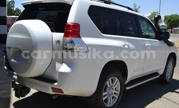 Tenga Tsaru Toyota Prado Chena Mota in Beitbridge in Matabeleland South Tenga Tsaru Toyota Prado Chena Mota in Beitbridge in Matabeleland South