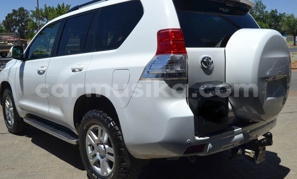 Tenga Tsaru Toyota Prado Chena Mota in Beitbridge in Matabeleland South Tenga Tsaru Toyota Prado Chena Mota in Beitbridge in Matabeleland South