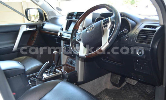 Tenga Tsaru Toyota Prado Chena Mota in Beitbridge in Matabeleland South Tenga Tsaru Toyota Prado Chena Mota in Beitbridge in Matabeleland South