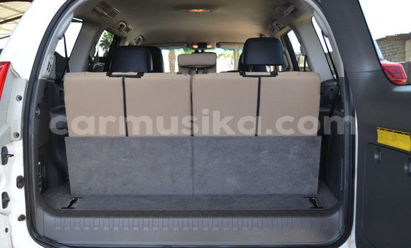 Tenga Tsaru Toyota Prado Chena Mota in Beitbridge in Matabeleland South Tenga Tsaru Toyota Prado Chena Mota in Beitbridge in Matabeleland South