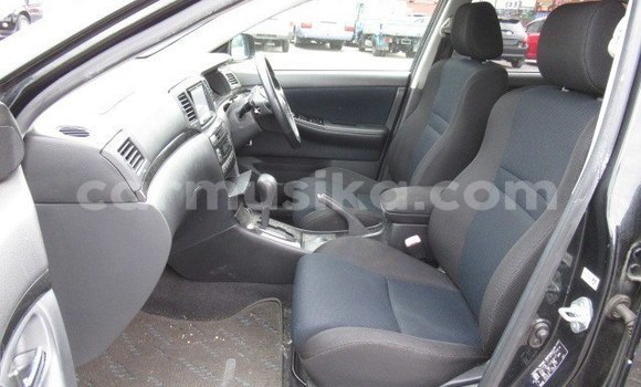 Nunua Ilio tumika Toyota Runx Fedha Gari ndani ya Harare nchini Harare Nunua Ilio tumika Toyota Runx Fedha Gari ndani ya Harare nchini Harare