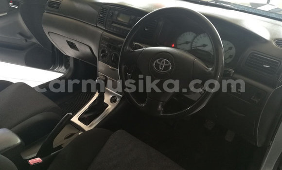 Acheter Occasion Voiture Toyota Runx Beige à Beitbridge, Matabeleland South Acheter Occasion Voiture Toyota Runx Beige à Beitbridge, Matabeleland South