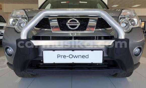 Buy Used Nissan X–Trail Other Car in Beitbridge in Matabeleland South Buy Used Nissan X–Trail Other Car in Beitbridge in Matabeleland South