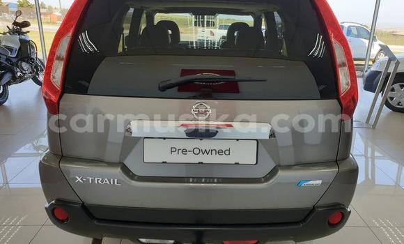 Buy Used Nissan X–Trail Other Car in Beitbridge in Matabeleland South Buy Used Nissan X–Trail Other Car in Beitbridge in Matabeleland South