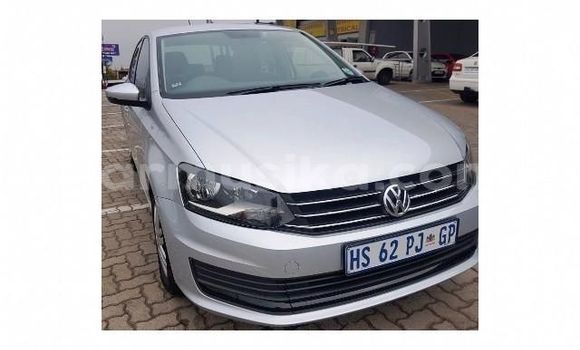 Buy Used Volkswagen Polo Silver Car in Beitbridge in Matabeleland South Buy Used Volkswagen Polo Silver Car in Beitbridge in Matabeleland South