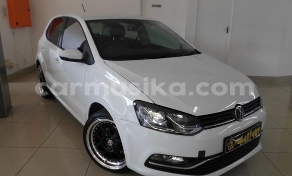 Buy Used Volkswagen Polo White Car in Beitbridge in Matabeleland South Buy Used Volkswagen Polo White Car in Beitbridge in Matabeleland South