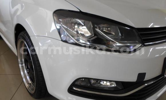 Buy Used Volkswagen Polo White Car in Beitbridge in Matabeleland South Buy Used Volkswagen Polo White Car in Beitbridge in Matabeleland South