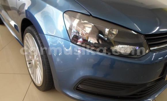 Tenga Tsaru Volkswagen Polo Bhuruu Mota in Beitbridge in Matabeleland South Tenga Tsaru Volkswagen Polo Bhuruu Mota in Beitbridge in Matabeleland South