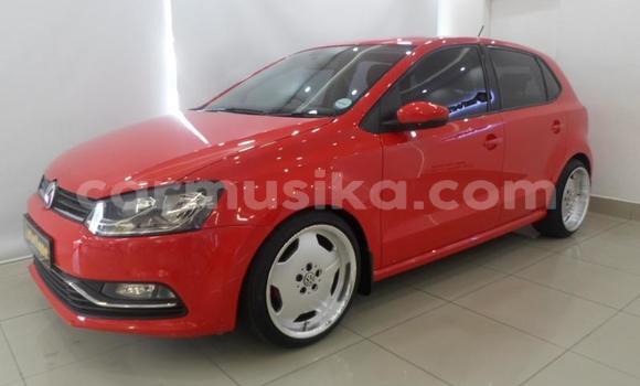 Buy Used Volkswagen Polo Other Car in Beitbridge in Matabeleland South Buy Used Volkswagen Polo Other Car in Beitbridge in Matabeleland South