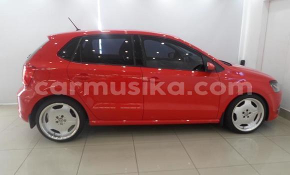 Buy Used Volkswagen Polo Other Car in Beitbridge in Matabeleland South Buy Used Volkswagen Polo Other Car in Beitbridge in Matabeleland South