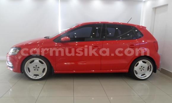 Buy Used Volkswagen Polo Other Car in Beitbridge in Matabeleland South Buy Used Volkswagen Polo Other Car in Beitbridge in Matabeleland South