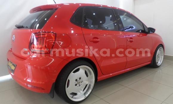 Buy Used Volkswagen Polo Other Car in Beitbridge in Matabeleland South Buy Used Volkswagen Polo Other Car in Beitbridge in Matabeleland South