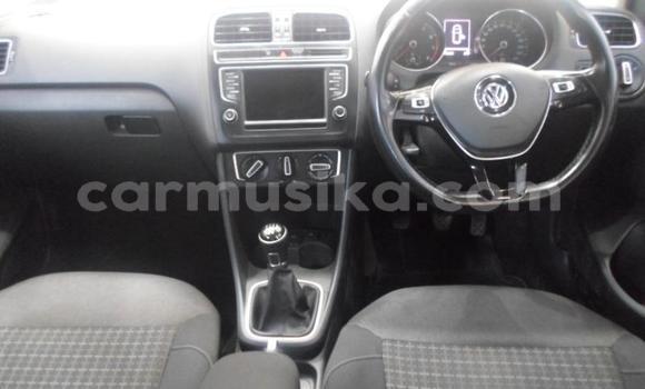Buy Used Volkswagen Polo Other Car in Beitbridge in Matabeleland South Buy Used Volkswagen Polo Other Car in Beitbridge in Matabeleland South