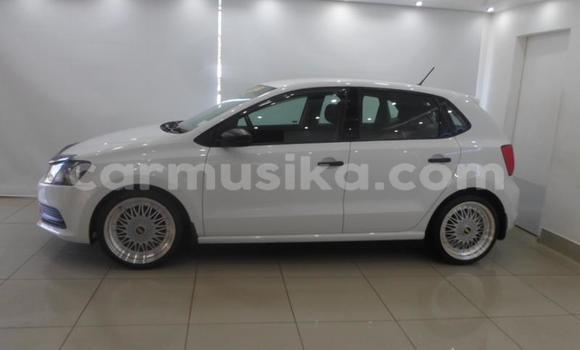Buy Used Volkswagen Polo White Car in Beitbridge in Matabeleland South Buy Used Volkswagen Polo White Car in Beitbridge in Matabeleland South