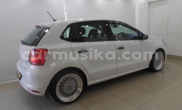Buy Used Volkswagen Polo White Car in Beitbridge in Matabeleland South Buy Used Volkswagen Polo White Car in Beitbridge in Matabeleland South