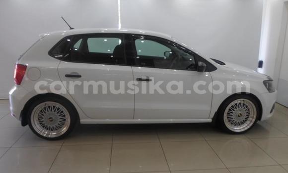 Buy Used Volkswagen Polo White Car in Beitbridge in Matabeleland South Buy Used Volkswagen Polo White Car in Beitbridge in Matabeleland South