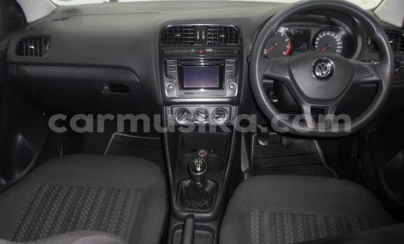 Buy Used Volkswagen Polo White Car in Beitbridge in Matabeleland South Buy Used Volkswagen Polo White Car in Beitbridge in Matabeleland South