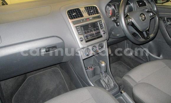 Buy Used Volkswagen Polo Silver Car in Beitbridge in Matabeleland South Buy Used Volkswagen Polo Silver Car in Beitbridge in Matabeleland South