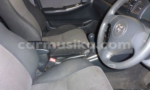 Acheter Occasion Voiture Toyota Runx Autre à Belvédère, Harare Acheter Occasion Voiture Toyota Runx Autre à Belvédère, Harare