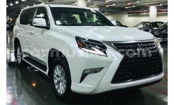 Acheter Import Voiture Lexus GX Blanc à Import - Dubai, Harare Acheter Import Voiture Lexus GX Blanc à Import - Dubai, Harare