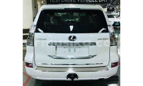 Acheter Import Voiture Lexus GX Blanc à Import - Dubai, Harare Acheter Import Voiture Lexus GX Blanc à Import - Dubai, Harare