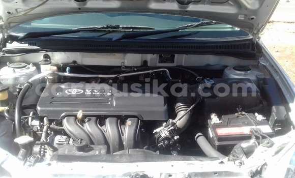 Nunua Ilio tumika Toyota Runx Nyingine Gari ndani ya Beitbridge nchini Matabeleland Kusini Nunua Ilio tumika Toyota Runx Nyingine Gari ndani ya Beitbridge nchini Matabeleland Kusini