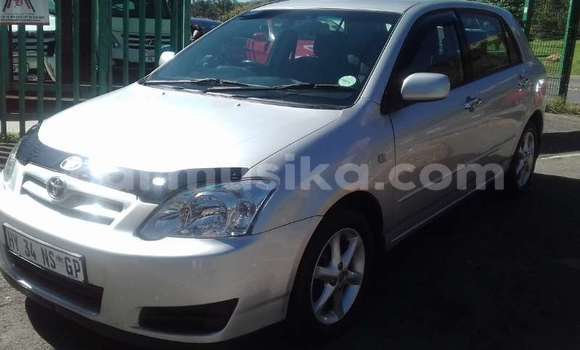 Nunua Ilio tumika Toyota Runx Nyingine Gari ndani ya Beitbridge nchini Matabeleland Kusini Nunua Ilio tumika Toyota Runx Nyingine Gari ndani ya Beitbridge nchini Matabeleland Kusini