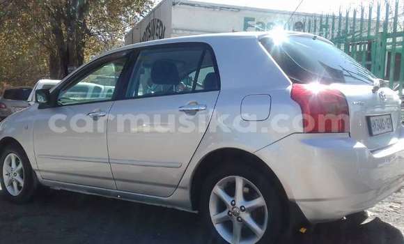 Nunua Ilio tumika Toyota Runx Nyingine Gari ndani ya Beitbridge nchini Matabeleland Kusini Nunua Ilio tumika Toyota Runx Nyingine Gari ndani ya Beitbridge nchini Matabeleland Kusini