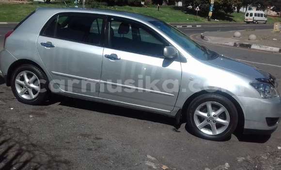 Nunua Ilio tumika Toyota Runx Nyingine Gari ndani ya Beitbridge nchini Matabeleland Kusini Nunua Ilio tumika Toyota Runx Nyingine Gari ndani ya Beitbridge nchini Matabeleland Kusini