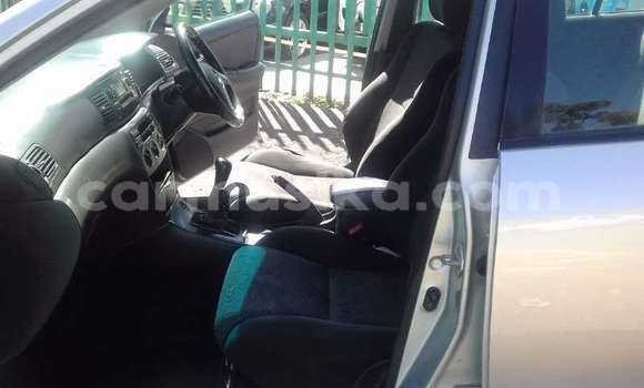 Nunua Ilio tumika Toyota Runx Nyingine Gari ndani ya Beitbridge nchini Matabeleland Kusini Nunua Ilio tumika Toyota Runx Nyingine Gari ndani ya Beitbridge nchini Matabeleland Kusini