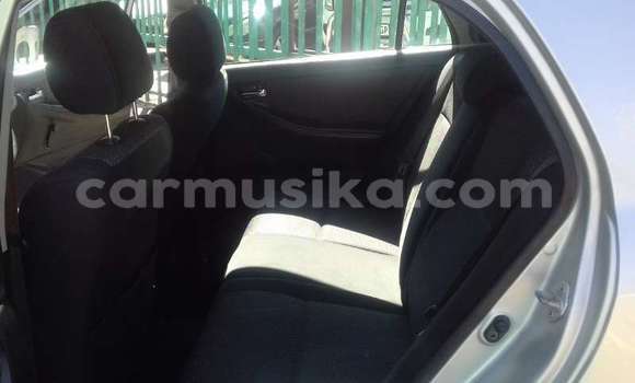 Nunua Ilio tumika Toyota Runx Nyingine Gari ndani ya Beitbridge nchini Matabeleland Kusini Nunua Ilio tumika Toyota Runx Nyingine Gari ndani ya Beitbridge nchini Matabeleland Kusini