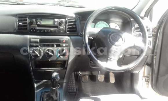 Nunua Ilio tumika Toyota Runx Nyingine Gari ndani ya Beitbridge nchini Matabeleland Kusini Nunua Ilio tumika Toyota Runx Nyingine Gari ndani ya Beitbridge nchini Matabeleland Kusini