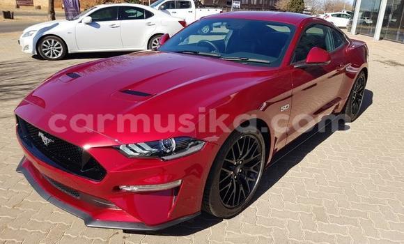 Acheter Occasion Voiture Ford Mustang Rouge à Beitbridge, Matabeleland South Acheter Occasion Voiture Ford Mustang Rouge à Beitbridge, Matabeleland South