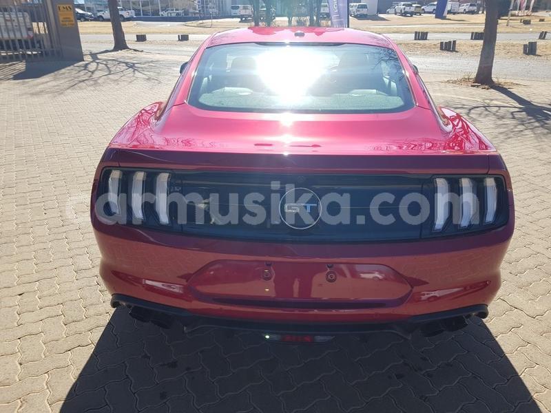 Big with watermark ford mustang matabeleland south beitbridge 11161