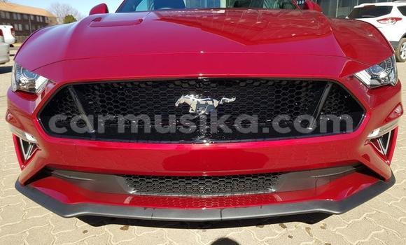 Acheter Occasion Voiture Ford Mustang Rouge à Beitbridge, Matabeleland South Acheter Occasion Voiture Ford Mustang Rouge à Beitbridge, Matabeleland South