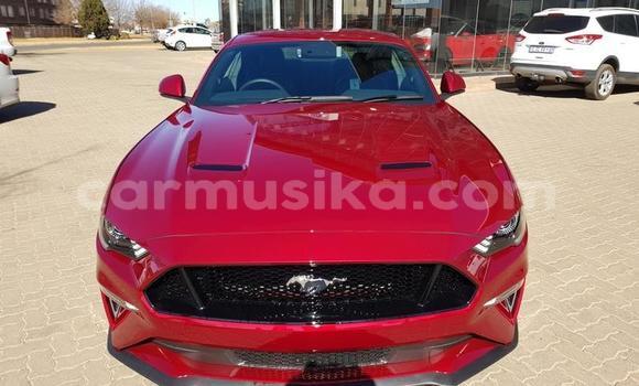 Acheter Occasion Voiture Ford Mustang Rouge à Beitbridge, Matabeleland South Acheter Occasion Voiture Ford Mustang Rouge à Beitbridge, Matabeleland South
