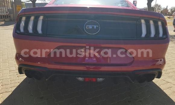 Acheter Occasion Voiture Ford Mustang Rouge à Beitbridge, Matabeleland South Acheter Occasion Voiture Ford Mustang Rouge à Beitbridge, Matabeleland South